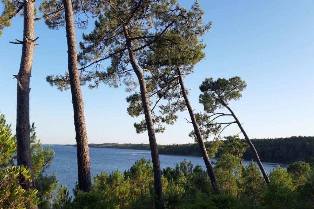 Holidays Resort Domaine Du Golf Piscine Chauffee D' Avril Au 1Er Octobre En Lisiere De Foret Avec Vue Sur La Pinede Lacanau-Ocean Екстер'єр фото