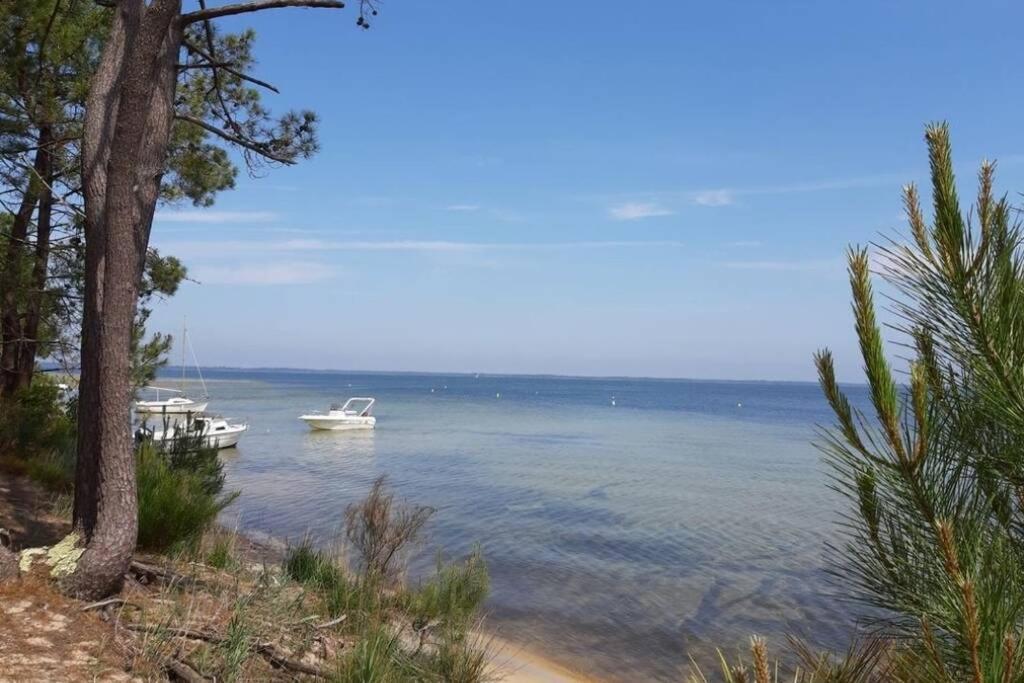 Holidays Resort Domaine Du Golf Piscine Chauffee D' Avril Au 1Er Octobre En Lisiere De Foret Avec Vue Sur La Pinede Lacanau-Ocean Екстер'єр фото